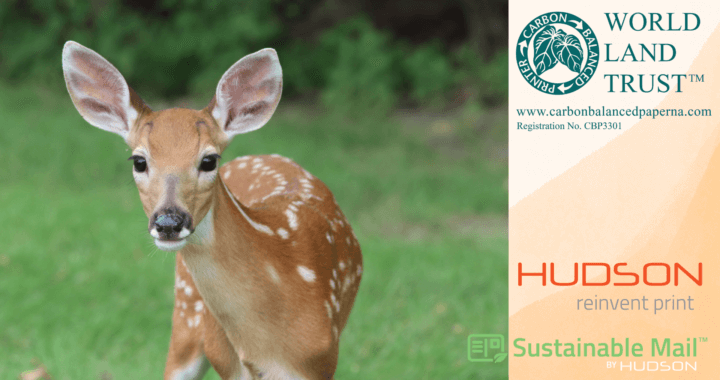 photo of baby deer next to logos for World Land Trust Carbon Balanced Print & Paper, Hudson Printing, and Sustainable Mail by Hudson